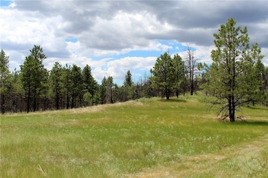 Deer Lane Lot: Eh-13, Roundup, MT 59072 - photo 3