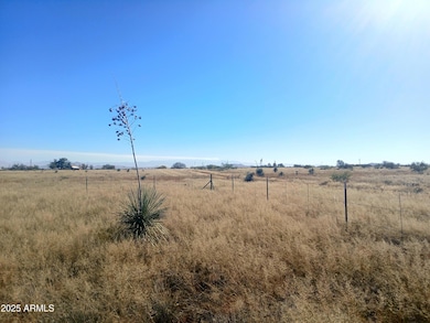 TBD Justin St unit 9, Pearce, AZ 85625 - photo 3