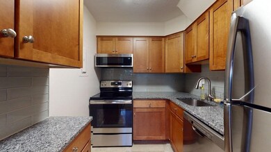 Hammond Park Condominiums unit 16, Chestnut Hill, MA 02467 - photo 6