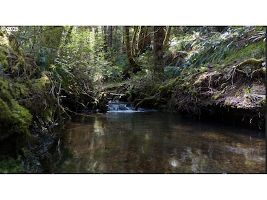 0 Davis Creek Rd, Selma, OR 97538 - photo 4