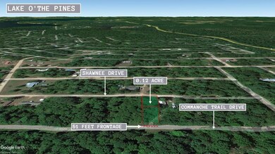 0 Commanche Trail Dr, Pine Harbor, TX 75657 - photo 4