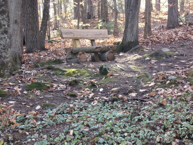 116_7294 (2)
