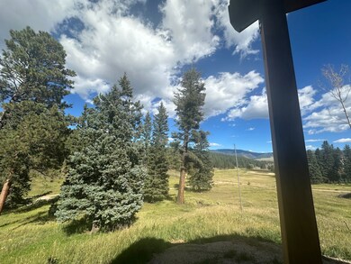 134 Onate Rd, Angel Fire, NM 87710 - photo 4