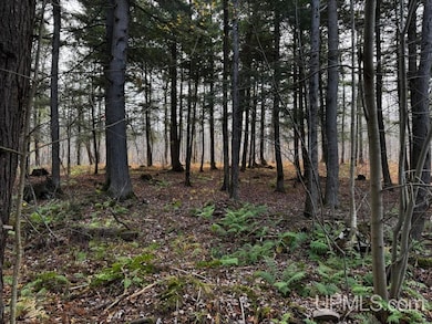 TBD OFF Skanee Rd, Skanee, MI 49962 - photo 4