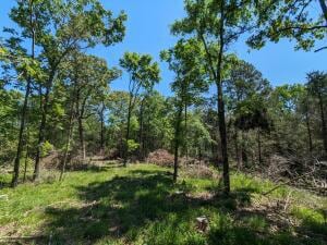 TBD 7A Spring Creek Trail, Cecil, AR 72930 - photo 3