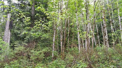 1 Zion View Ln, Quilcene, WA 98376 - photo 3