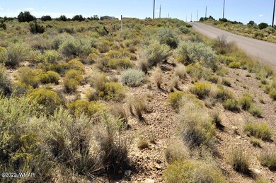 Lot 37 Old Woodruff Rd (5)
