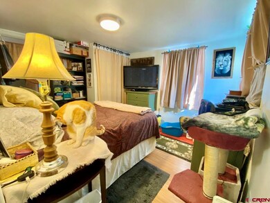 135 W 32nd St, Durango, CO 81301 - photo 7