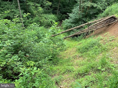 0 Route 5, Renick, WV 24966 - photo 4