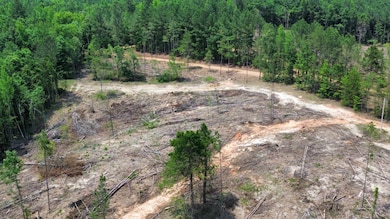 000 Cr 5217, Ethel, MS 39067 - photo 4