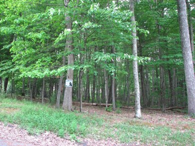 126 Glen Orchard Way unit 4, Daniels, WV 25832 - photo 3