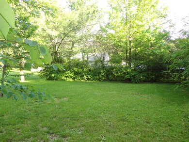 backyard 1