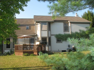 Back side of the home through the pines