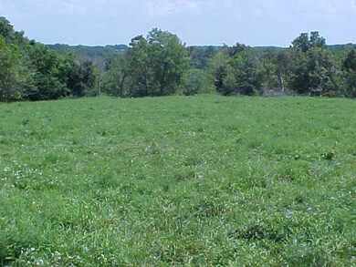 hay field 1