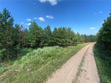62 Ruts Pines Loop, Broken Bow, OK 74728 - photo 4