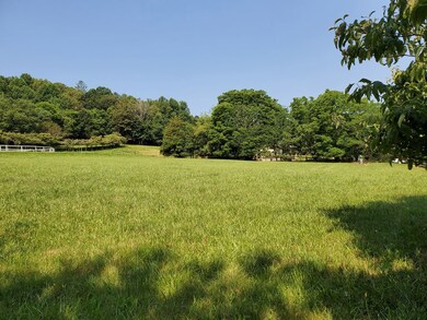 Nearly Level, Grassy Pasture