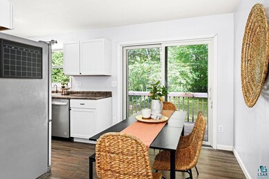 Kitchen with stainless steel dishwasher, dark hard