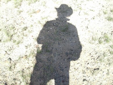 Lot 47 Juniperwood Ranch Unit 11, Ash Fork, AZ 86320 - photo 5