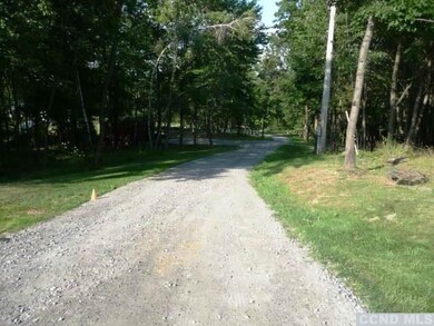 223 Perrys Corners Rd, Amenia, NY 12501 - photo 6