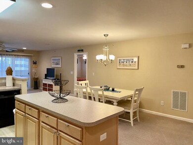 36501 Palm Dr unit 1206, Rehoboth Beach, DE 19971 - photo 5