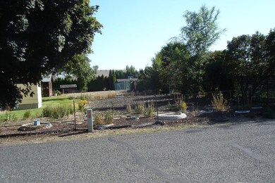 Driveway and yard