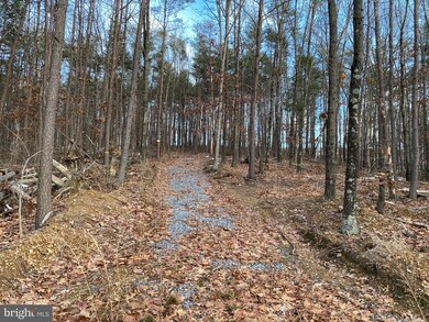 0 Spielman Rd unit WVMO117882, Berkeley Springs, WV 25411 - photo 4