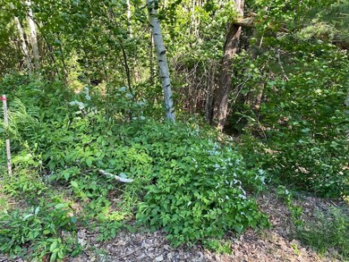 18 Split Oak Cir unit 4A/A001/01, Chesterfield, NH 03443 - photo 7