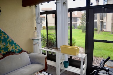 Back Patio