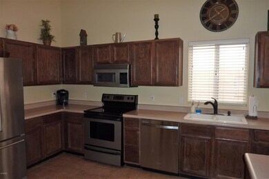 Palo Verde Kitchen Sink