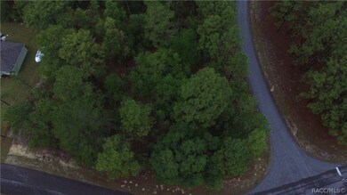 9290 N Marcus Way, Citrus Springs, FL 34433 - photo 4