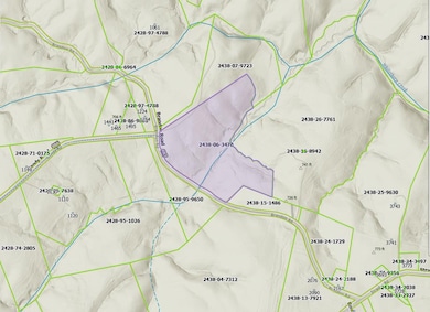 42.9 AC Brandon Rd, Chatham, VA 24531 - photo 2