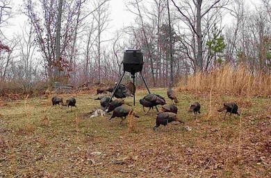 1912 Hightower Rd, Cedartown, GA 30125 - photo 3