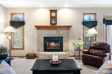Living fireplace