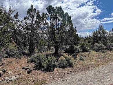 Lot 10 NE Ginters Grove Ln, Cedaredge, CO 81413 - photo 3