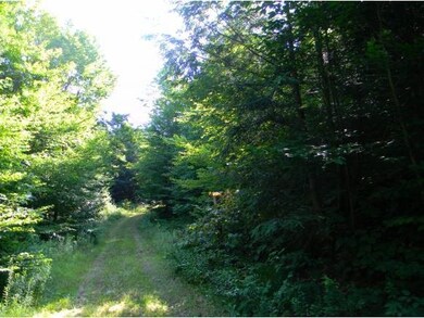 0 Lovejoy Brook Rd unit 4173987, Ludlow, VT 05149 - photo 5