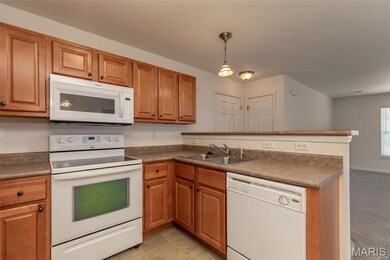 1776 Lexington Place unit 200, Herculaneum, MO 63048 - photo 6
