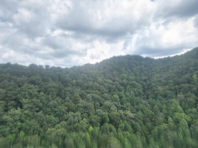 0 Rd, Wharncliffe, WV 24862 - photo 2