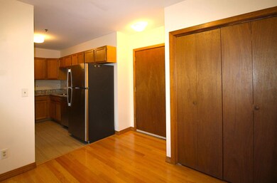 Entrance/Storage closet