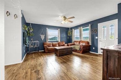 406 High Pasture Rd, Florissant, CO 80816 - photo 4