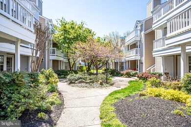 4544 28th Rd S unit D, Arlington, VA 22206 - photo 4