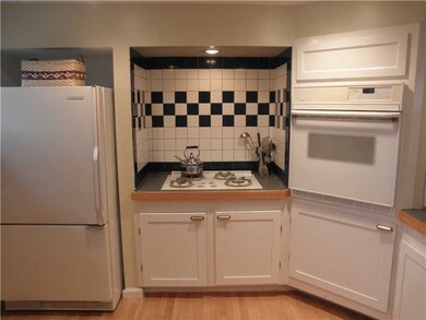 Kitchen. Fuel for Stove - Propane!