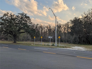 275 S Us Highway 17, East Palatka, FL 32131 - photo 2