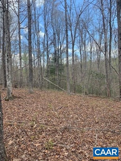 0 Shenandoah Crossing Dr unit 616122, Gordonsville, VA 22942 - photo 2