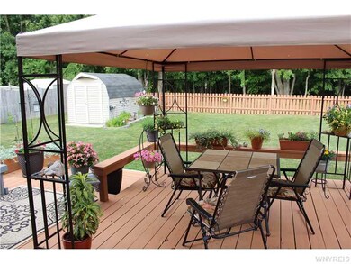 Backyard.