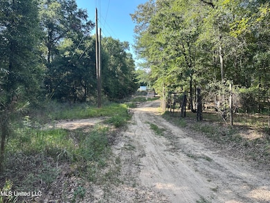 0 Lazy b Rd, Lumberton, MS 39455 - photo 3