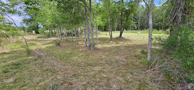 3270 Nesom Rd, Denham Springs, LA 70706 - photo 2