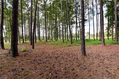 1.75ac Cobham Wharf Rd, Surry, VA 23883 - photo 2