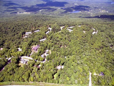 0 Birch Hill Rd unit Sugar Maple 5003081, Winhall, VT 05340 - photo 2