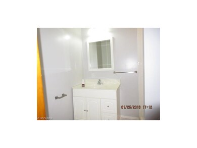 Lower Level Bathroom