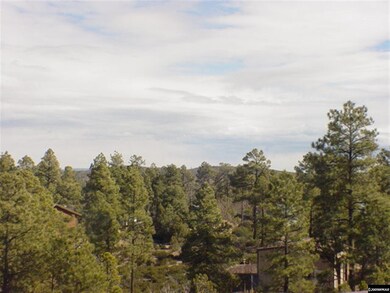 6303 Bull Elk Run unit Timberland Acres, Show Low, AZ 85901 - photo 7